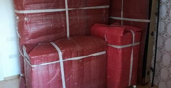 IMG-20250502-WA0175
