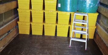 IMG-20250502-WA0201